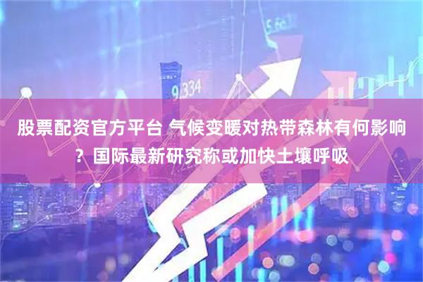 股票配资官方平台 气候变暖对热带森林有何影响？国际最新研究称或加快土壤呼吸