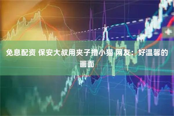 免息配资 保安大叔用夹子撸小猫 网友：好温馨的画面
