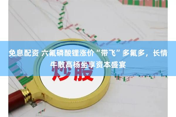 免息配资 六氟磷酸锂涨价“带飞”多氟多，长情牛散高杨坐享资本盛宴