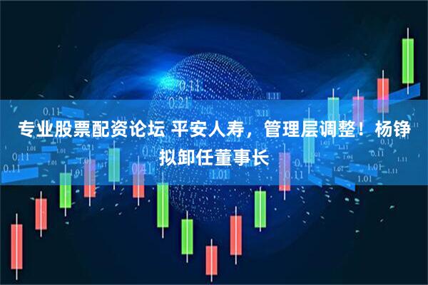 专业股票配资论坛 平安人寿，管理层调整！杨铮拟卸任董事长