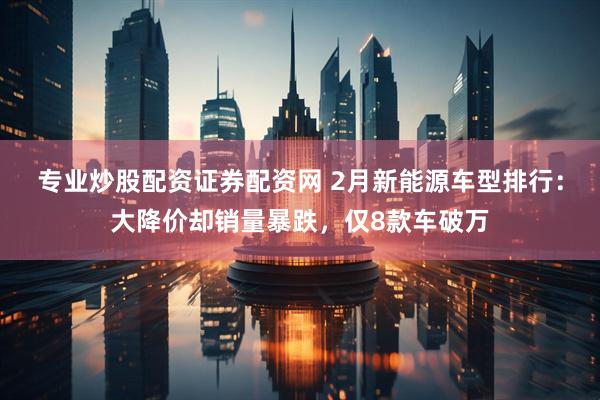 专业炒股配资证券配资网 2月新能源车型排行：大降价却销量暴跌，仅8款车破万