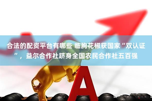 合法的配资平台有哪些 临朐花椒获国家“双认证”，益尔合作社跻身全国农民合作社五百强